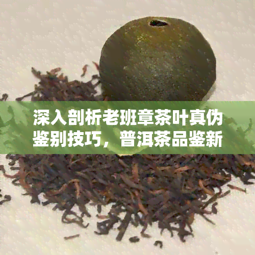 深入剖析老班章茶叶真伪鉴别技巧，普洱茶品鉴新手必备指南