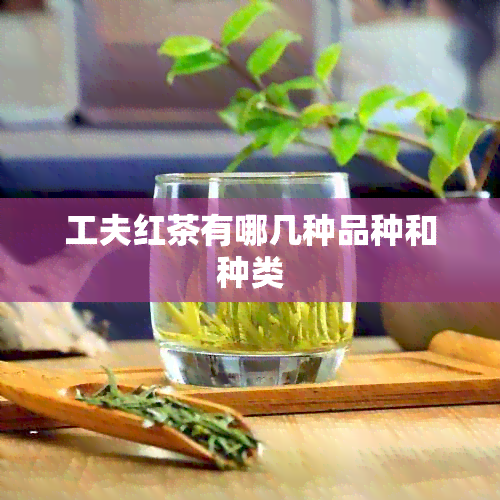 工夫红茶有哪几种品种和种类