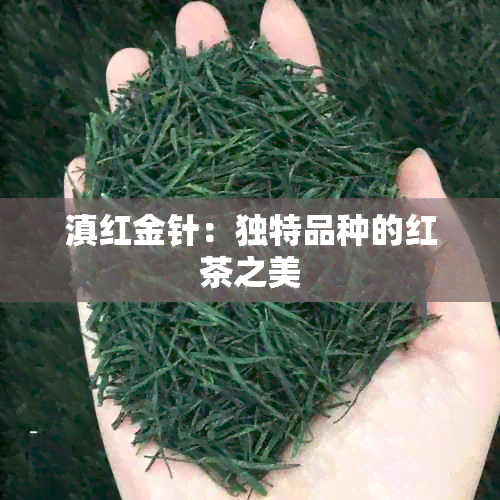 滇红金针：独特品种的红茶之美