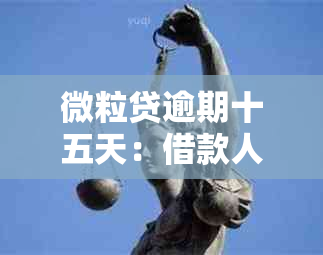 微粒贷逾期十五天：借款人面临的法律风险与解决方案