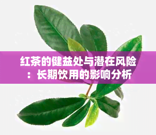 红茶的健益处与潜在风险：长期饮用的影响分析