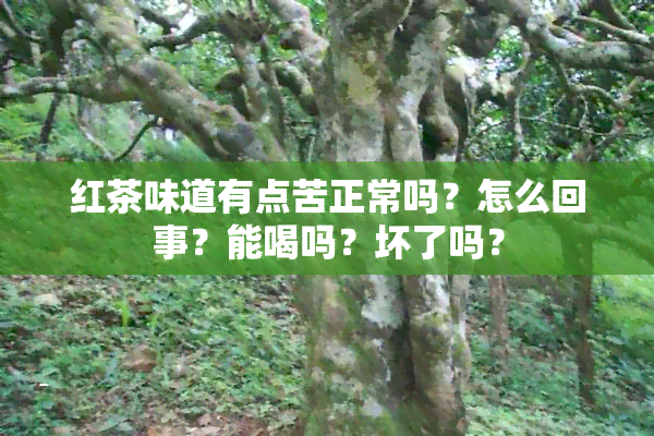 红茶味道有点苦正常吗？怎么回事？能喝吗？坏了吗？