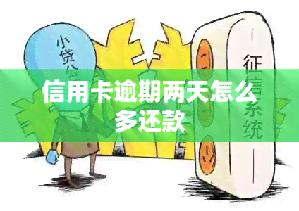 信用卡逾期两天怎么多还款