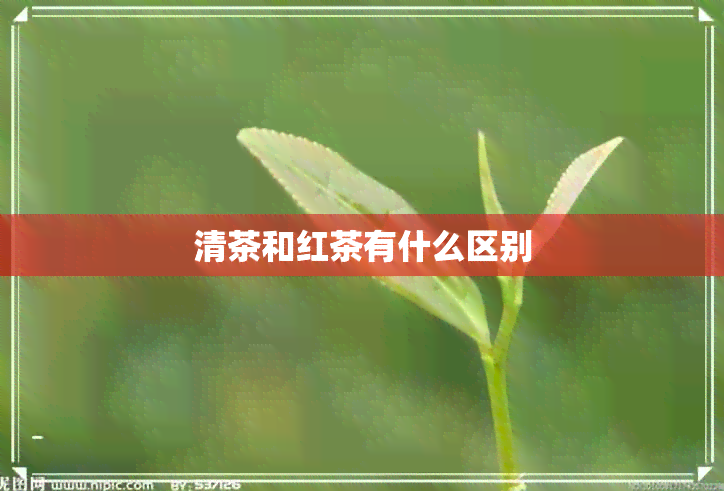 清茶和红茶有什么区别