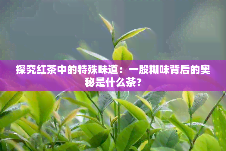 探究红茶中的特殊味道：一股糊味背后的奥秘是什么茶？