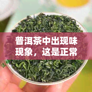 普洱茶中出现味现象，这是正常还是需要警惕？