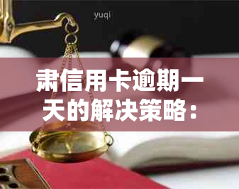 肃信用卡逾期一天的解决策略：如何应对逾期还款、影响与补救方法全面解析