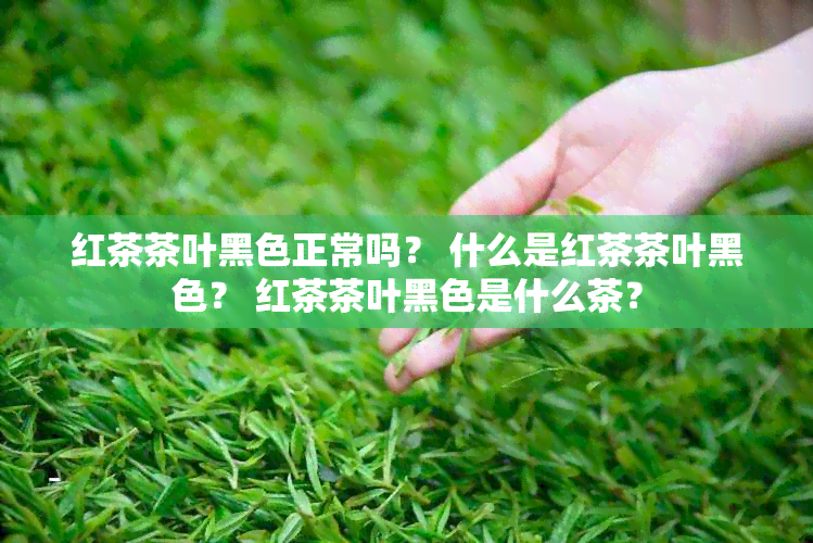 红茶茶叶黑色正常吗？ 什么是红茶茶叶黑色？ 红茶茶叶黑色是什么茶？