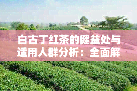 白古丁红茶的健益处与适用人群分析：全面解析普洱茶的禁忌与普洱茶的关联