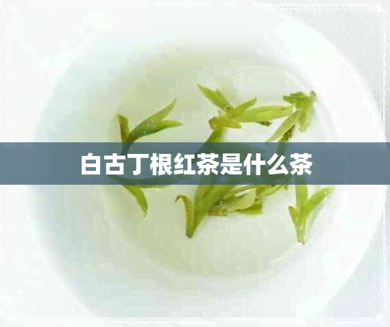 白古丁根红茶是什么茶