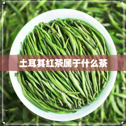 土耳其红茶属于什么茶