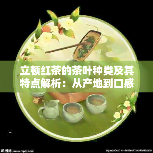 立顿红茶的茶叶种类及其特点解析：从产地到口感，一次全面了解！