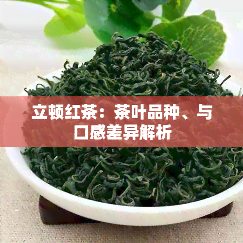 立顿红茶：茶叶品种、与口感差异解析