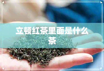 立顿红茶里面是什么茶