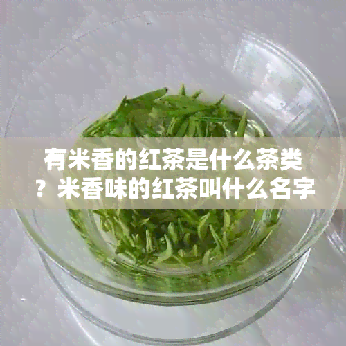 有米香的红茶是什么茶类？米香味的红茶叫什么名字？