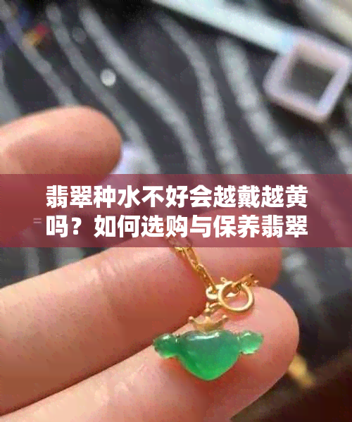 翡翠种水不好会越戴越黄吗？如何选购与保养翡翠饰品