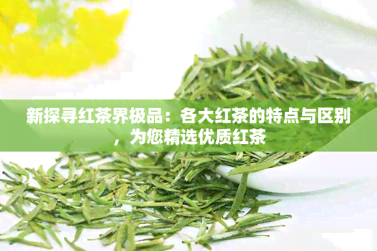 新探寻红茶界极品：各大红茶的特点与区别，为您精选优质红茶