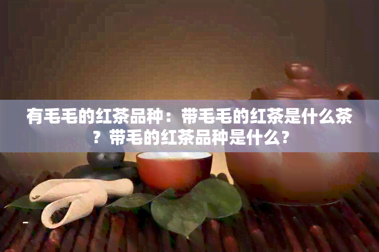 有毛毛的红茶品种：带毛毛的红茶是什么茶？带毛的红茶品种是什么？