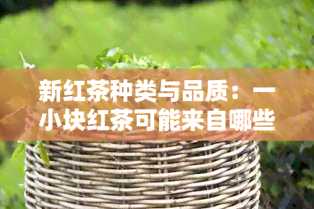 新红茶种类与品质：一小块红茶可能来自哪些茶叶品种及如何鉴别？