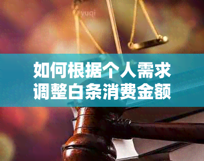 如何根据个人需求调整白条消费金额？解答用户疑问