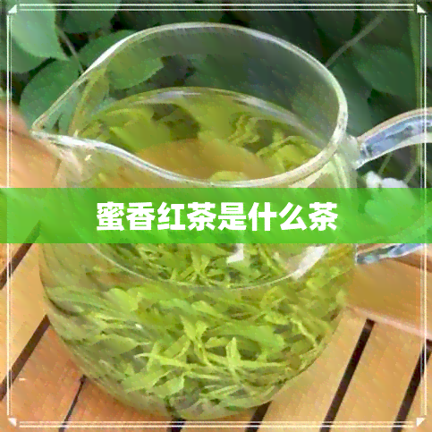 蜜香红茶是什么茶