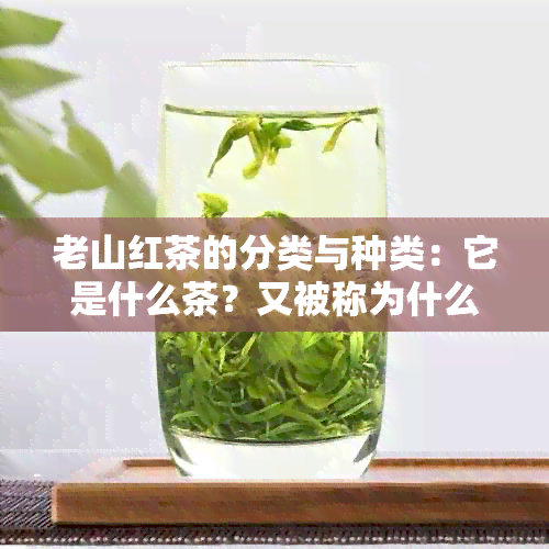 老山红茶的分类与种类：它是什么茶？又被称为什么茶？