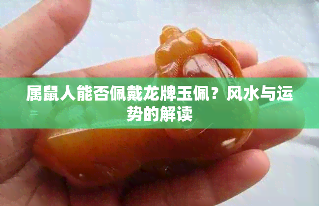 属鼠人能否佩戴龙牌玉佩？风水与运势的解读