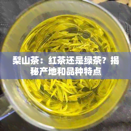 梨山茶：红茶还是绿茶？揭秘产地和品种特点