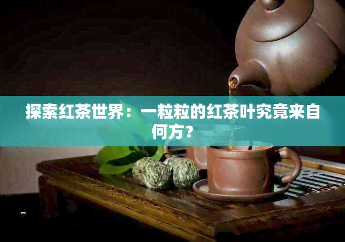 探索红茶世界：一粒粒的红茶叶究竟来自何方？