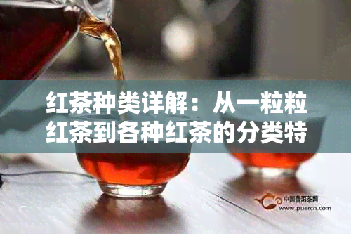 红茶种类详解：从一粒粒红茶到各种红茶的分类特点，让你全面了解红茶的世界