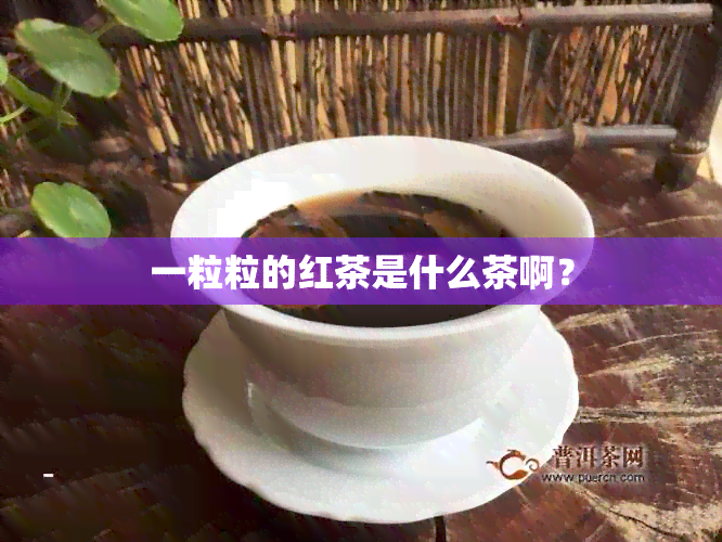 一粒粒的红茶是什么茶啊？