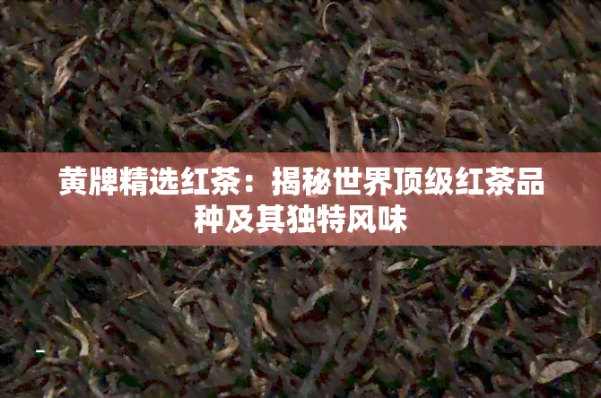 黄牌精选红茶：揭秘世界顶级红茶品种及其独特风味