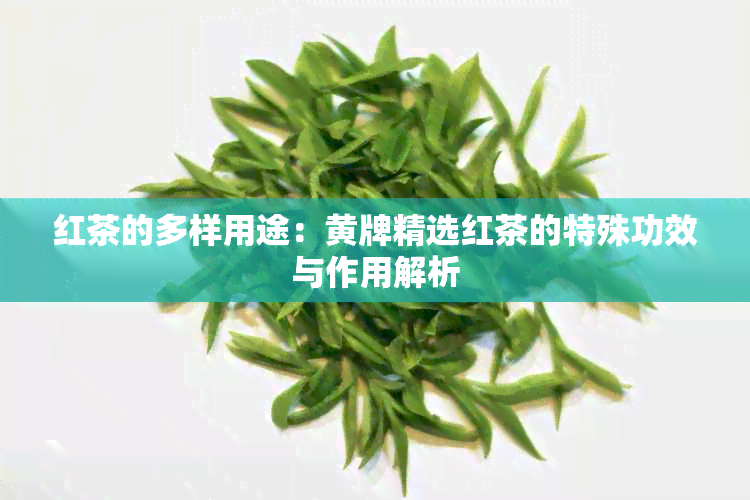 红茶的多样用途：黄牌精选红茶的特殊功效与作用解析