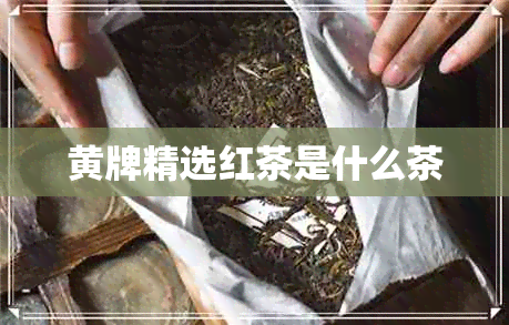 黄牌精选红茶是什么茶