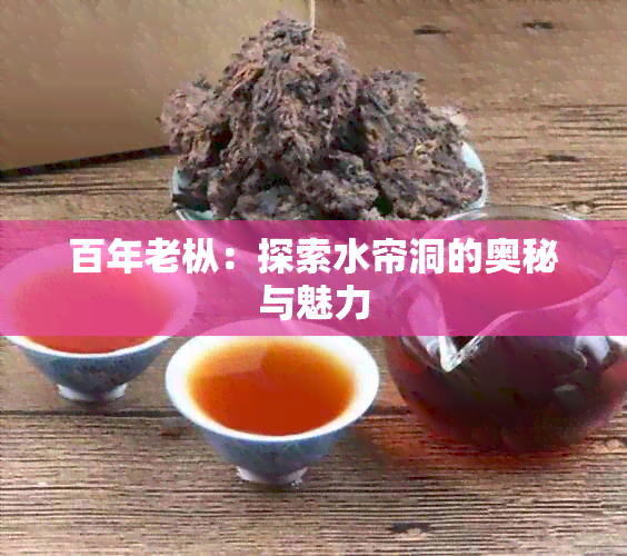 百年老枞：探索水帘洞的奥秘与魅力