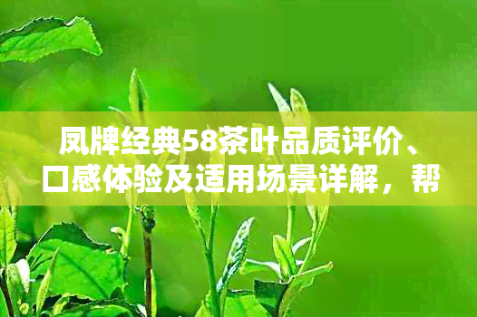 凤牌经典58茶叶品质评价、口感体验及适用场景详解，帮助你全面了解这款茶叶