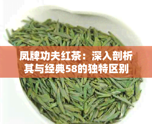 凤牌功夫红茶：深入剖析其与经典58的独特区别