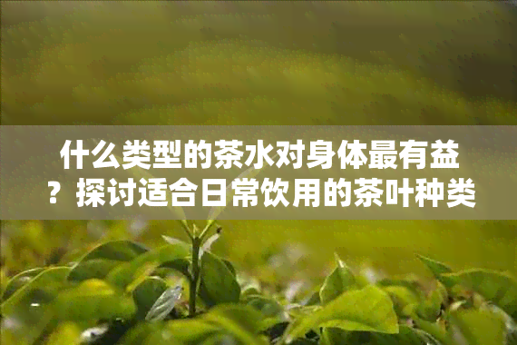 什么类型的茶水对身体最有益？探讨适合日常饮用的茶叶种类及其健益处