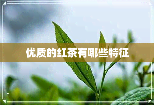 优质的红茶有哪些特征