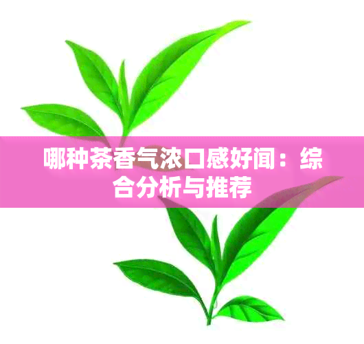 哪种茶香气浓口感好闻：综合分析与推荐