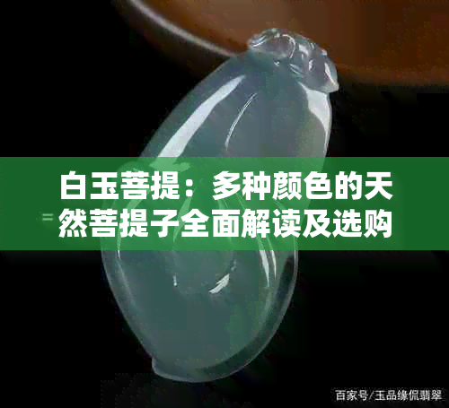 白玉菩提：多种颜色的天然菩提子全面解读及选购指南