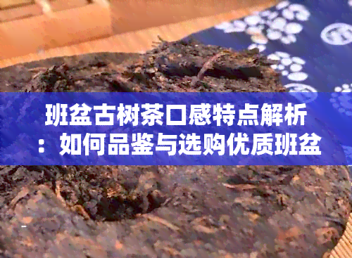 班盆古树茶口感特点解析：如何品鉴与选购优质班盆茶？