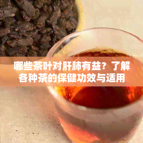 哪些茶叶对肝肺有益？了解各种茶的保健功效与适用人群