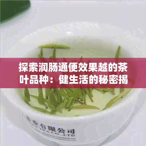 探索润肠通便效果越的茶叶品种：健生活的秘密揭晓