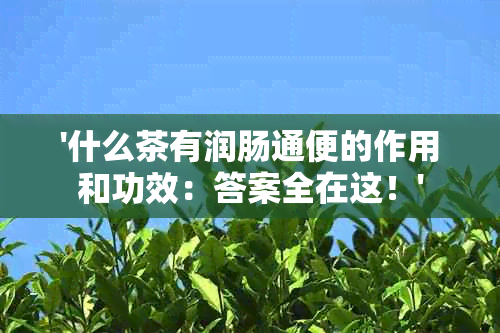 '什么茶有润肠通便的作用和功效：答案全在这！'