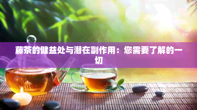 藤茶的健益处与潜在副作用：您需要了解的一切