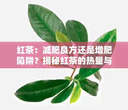 红茶：减肥良方还是增肥陷阱？揭秘红茶的热量与效果