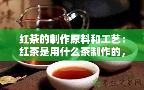 红茶的制作原料和工艺：红茶是用什么茶制作的，以及它是如何制成的。