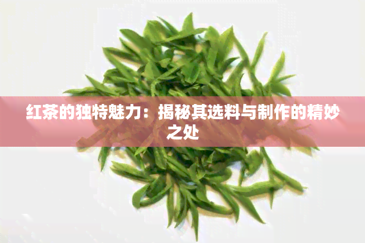 红茶的独特魅力：揭秘其选料与制作的精妙之处