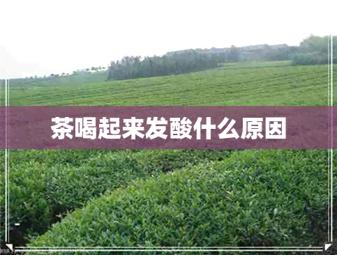 茶喝起来发酸什么原因